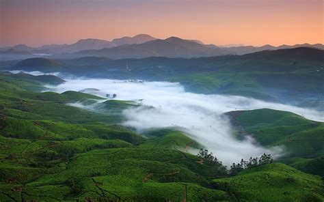 Tea Landscape Wallpapers - Top Free Tea Landscape Backgrounds - WallpaperAccess