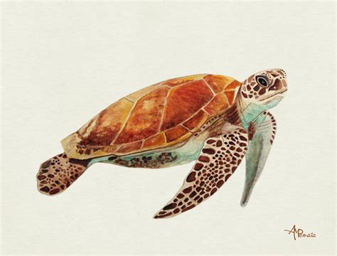 Turtle Watercolor Painting by Angeles M Pomata - Fine Art America