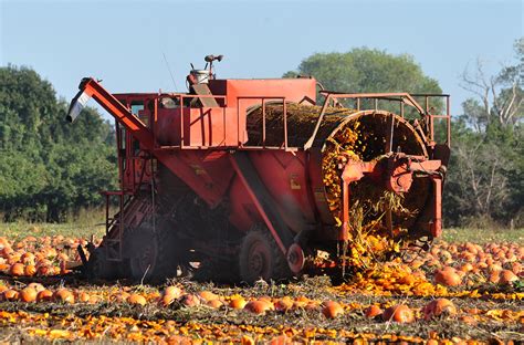 Seed Harvester harvesting pumpkin seeds | While we have seve… | Flickr