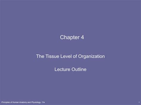 SOLUTION: The tissue level of organization medical nursing - Studypool