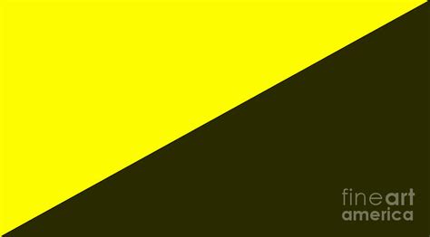 Anarcho-capitalism Flag Digital Art by Frederick Holiday - Fine Art America