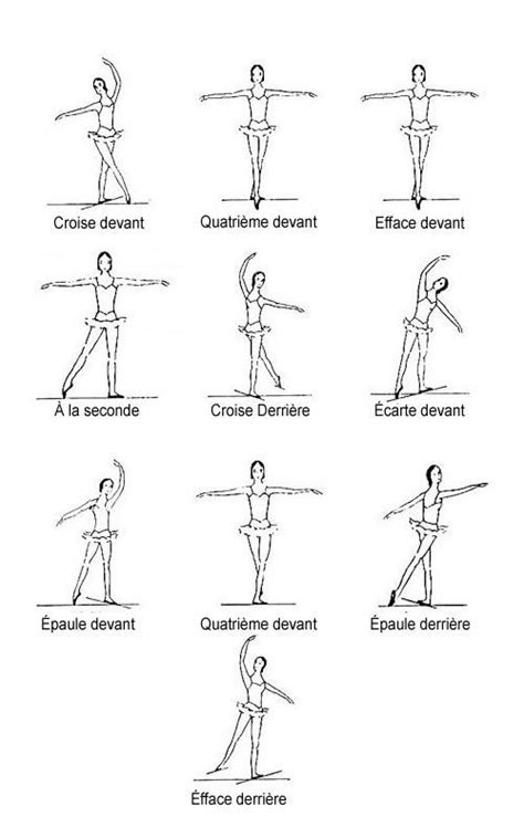 port de bras | Pasos de ballet, Poses de ballet, Ballet posiciones