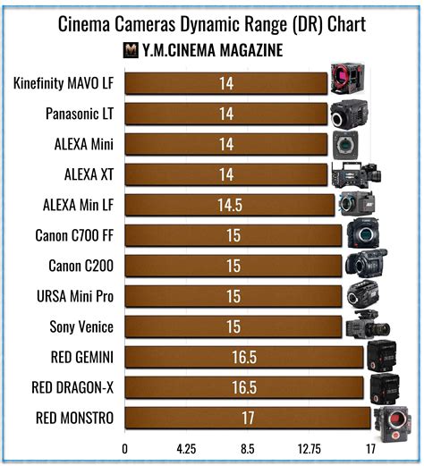 Cinema Cameras Dynamic Range Comparison: “Paycheck Stops" vs.“Gravy Stops" - Y.M.Cinema - News ...