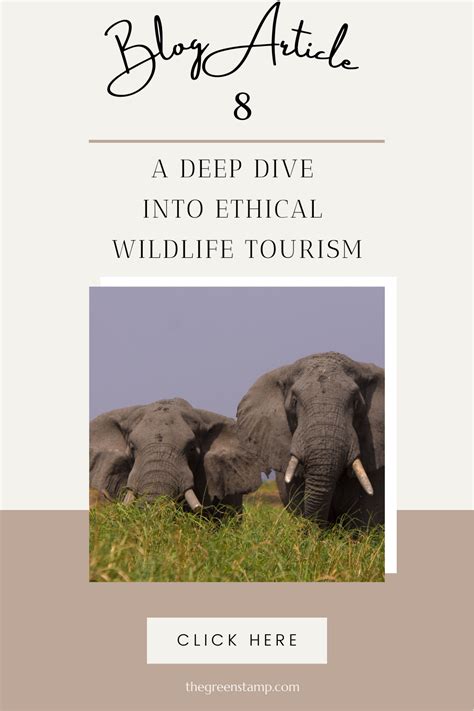 A deep dive into ethical wildlife tourism | Wildlife tourism, Tourism, Wildlife