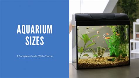 Aquarium Sizes A Complete Guide (With Charts), 58% OFF