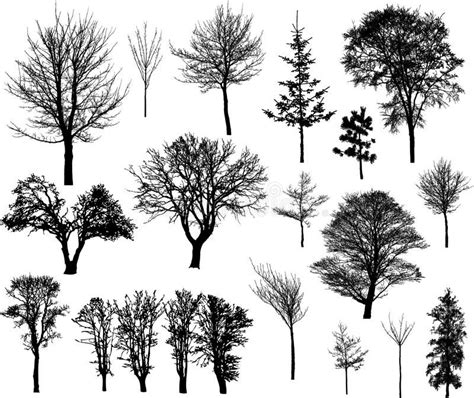 Winter trees. 20 beautiful winter tree silhouettes, highly detailed ...