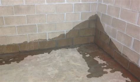 Basement Leaking Where Floor Meets Wall? Find Solutions