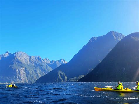 Kayaking in Milford Sound | Explore With Wine