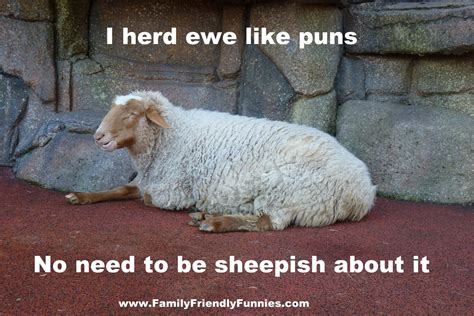 Sheep Puns