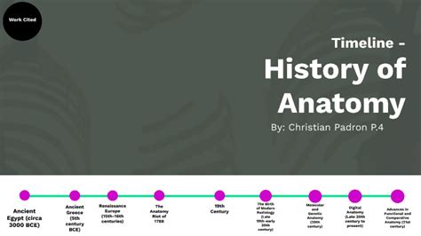 Illustrated timeline: History of Anatomy by Christian Padron on Prezi