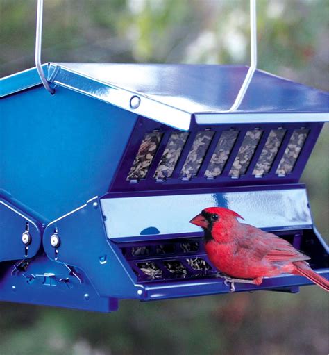 Single-Sided Large Squirrel-Resistant Feeder - Lee Valley Tools