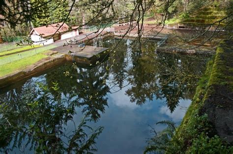 Tenino Quarry Pool | Experience Olympia