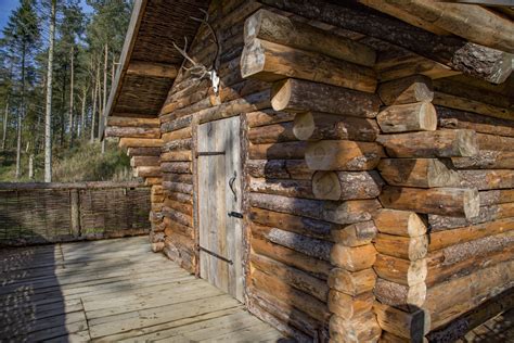 Rustic Camp Cabin Free Stock Photo - Public Domain Pictures