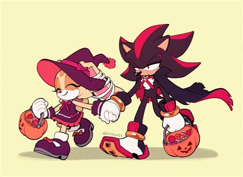 Cream The Rabbit And Shadow The Hedgehog