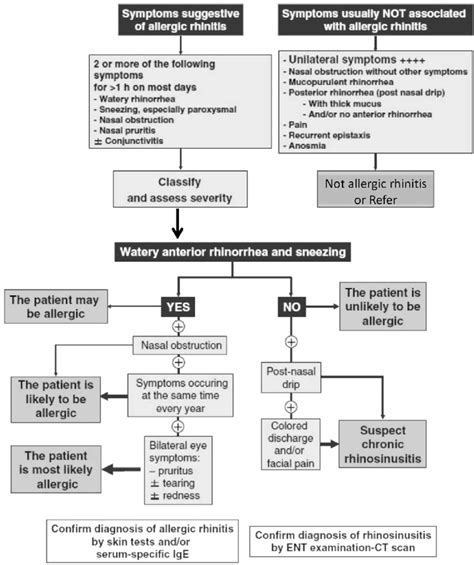 Allergic Rhinitis Nutritional Medications