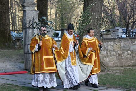 New Liturgical Movement: Olive Sunday in the Ambrosian Rite