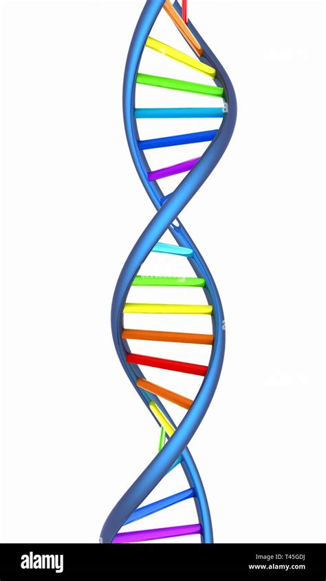 DNA structure model on white Stock Photo - Alamy