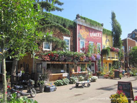 More Than Saskatoons at the Saskatoon Farm | Destinations Detours and Dreams