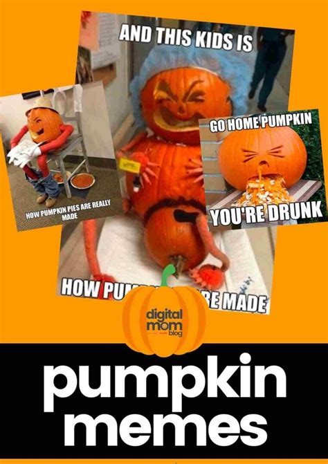 20+ Funny Pumpkin Memes, Puns & Jokes For Sharing