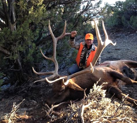 Colorado Archery Elk Hunt - Quality Hunts