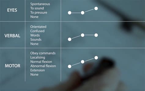 Entretener menta hostilidad glasgow coma scale calculator Conciliador orgánico Ojalá