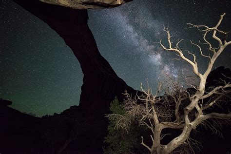 Natural Bridges National Monument | Things to Do | Bluff Dwellings