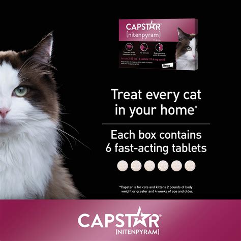 Capstar Fast-Acting Oral Flea Treatment for Cats, 6 Doses, 11.4mg (2-25 ...