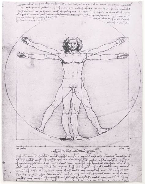 Vitruvian Man | History, Drawing, Leonardo da Vinci, Meaning, & Facts ...