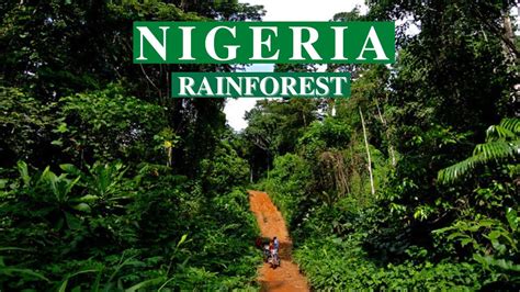 I explored Nigeria's Tropical Rain Forest to find - YouTube