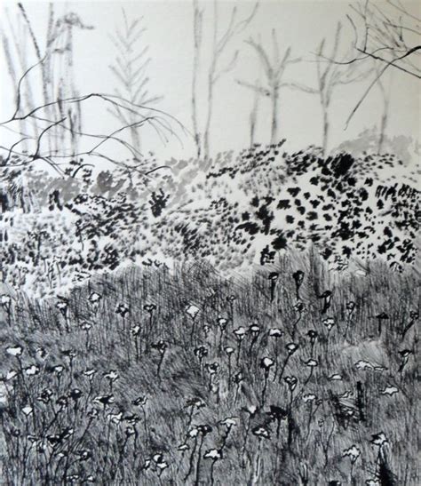 A Field Of Flowers (Original), Drawing by Robert Grubbs | Artmajeur