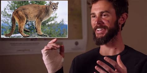 Colorado jogger recounts choking mountain lion to death when attacked ...