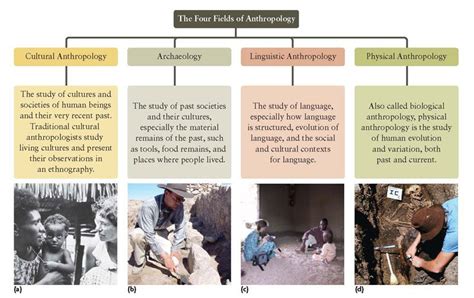 The 4 fields of anthropology - Google Image Result for http://www ...