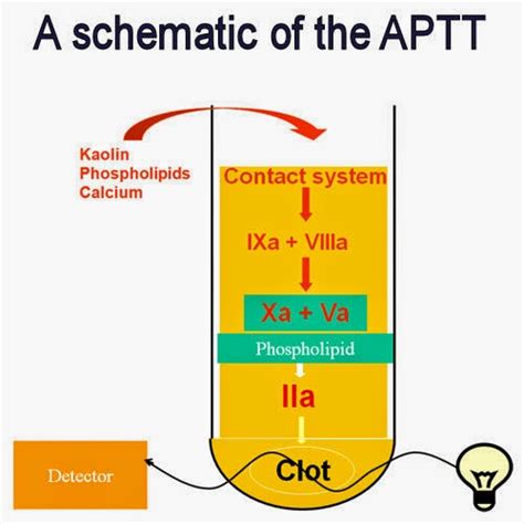 Medical Laboratory and Biomedical Science: Activated Partial Thromboplastin Time [APTT]