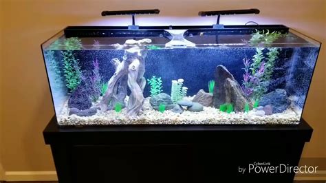 50 Gallon Fusion Fish Tank Review - YouTube