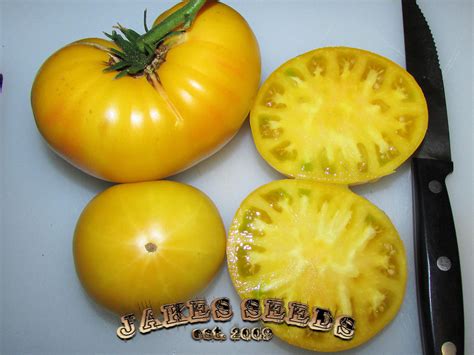 Candy's Old Yellow Heirloom Tomato - Jake's Seeds