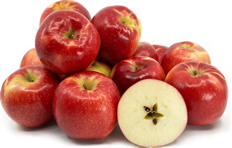 SweeTango® Apples Information and Facts