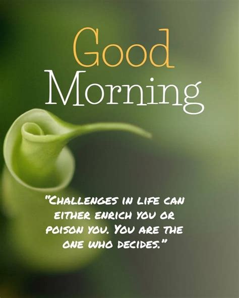 Good Morning Challenges In Life Quotes - Good Morning Images, Quotes, Wishes, Messages ...