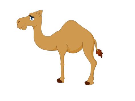 Camel Cartoon Drawing at GetDrawings | Free download