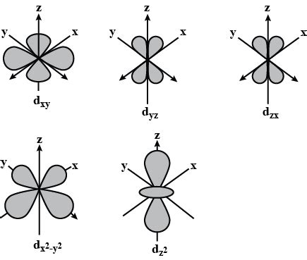 Draw the structure of d-orbital.