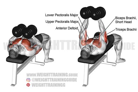 Dumbbell squeeze bench press exercise instructions and video