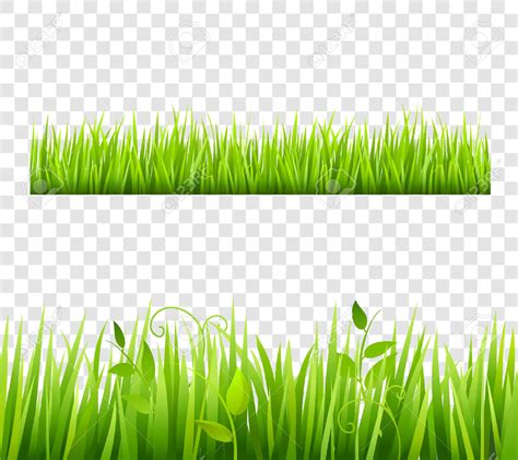 green grass border clipart 20 free Cliparts | Download images on Clipground 2024