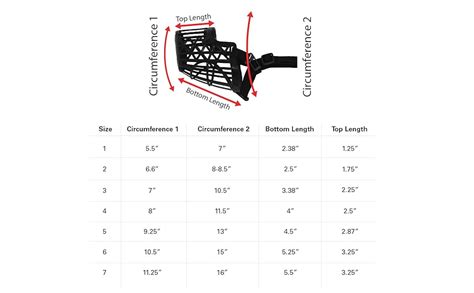 Dog Muzzle Size Chart