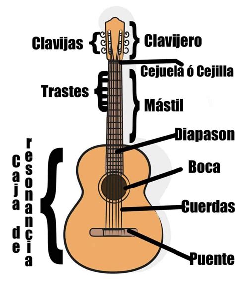 ᐈ GUITARRA Clásica Española | Partes Tipos Caracteristicas | Música