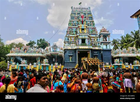 Tamil Hindu devotees celebrate the Amman Ther Thiruvizha Festival at the Tellipalai Amman Temple ...