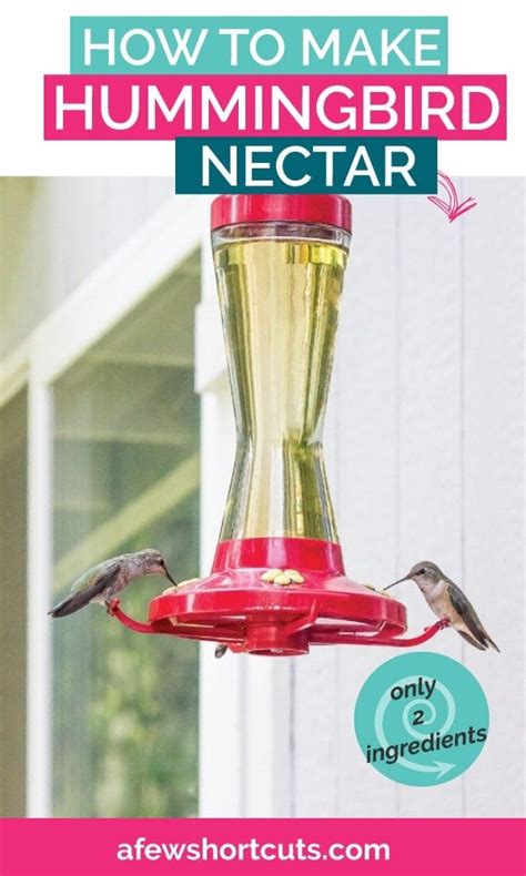 How to Make Hummingbird Nectar - A Few Shortcuts