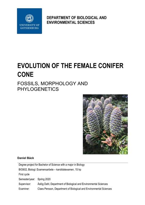 Evolution of the Female Conifer Cone Fossils, Morphology and ...