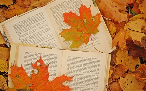 Autumn Books Wallpapers - Top Free Autumn Books Backgrounds - WallpaperAccess