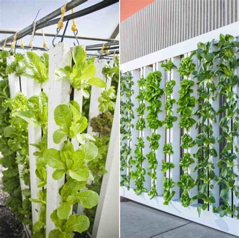 Vertical Hydroponic Gardening, Setup, Ideas, Advantages | Gardening Tips