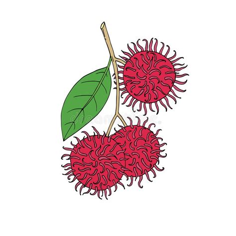 Gambar Buah Rambutan Animasi Gambar Kartun Pohon Clipart Best Clipart ...