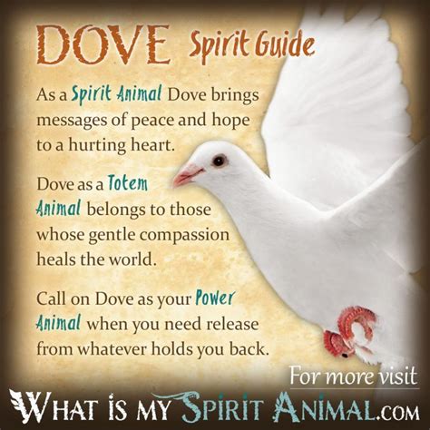 Dove Symbolism & Meaning | Spirit, Totem & Power Animal